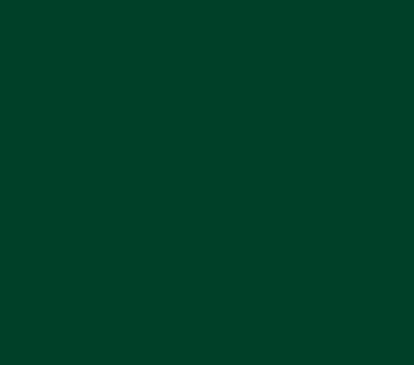 Oracal 651 Glossy Permanent - Dark Green 060 image 0