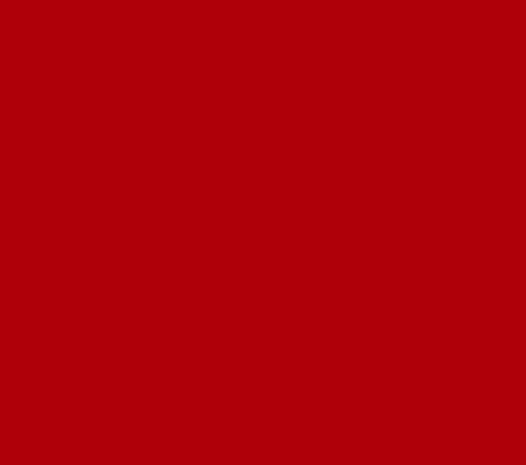 Oracal 651 Matte Permanent - Red 031 image 0