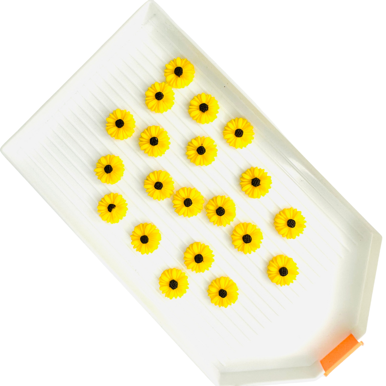 Yellow Daisies (Pack of 10) image 0