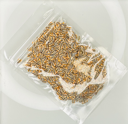 Autumn Leaves - Polymer Clay Slices image 1