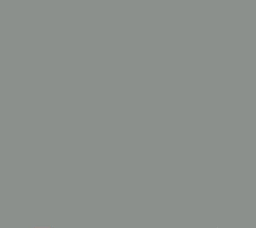 Oracal 651 Matte Permanent - Middle Grey 074 image 0