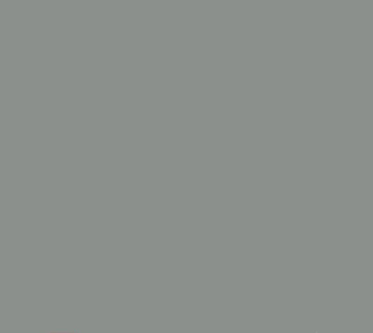 Oracal 651 Matte Permanent - Middle Grey 074 image 0