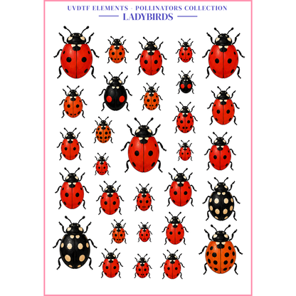 UVDTF Elements - The Pollinators