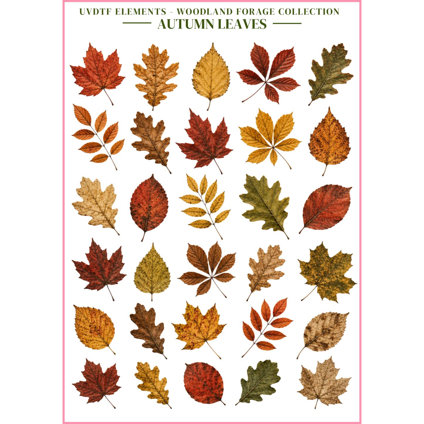UVDTF Elements - Woodland Forage