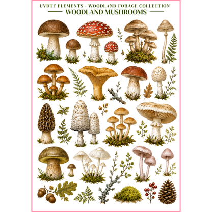 UVDTF Elements - Woodland Forage