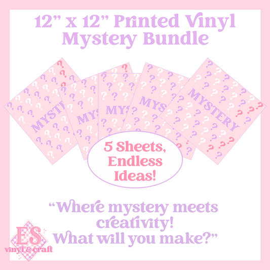Mystery Bundle x 5 Sheet of 12" x 12" Printed Vinyl image 0