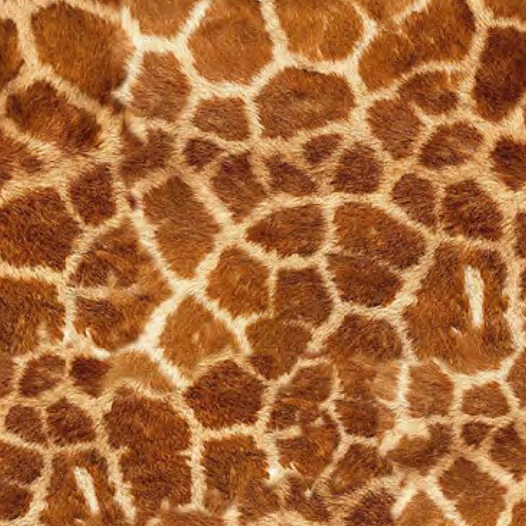Siser Wild Easy Patterns image 1