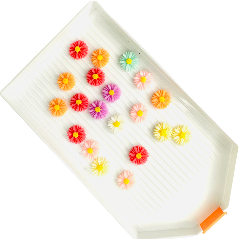 Coloured Daisies (Pack of 10) image 0