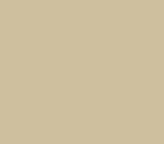 Oracal 651 Matte Permanent - Beige 082 image 0