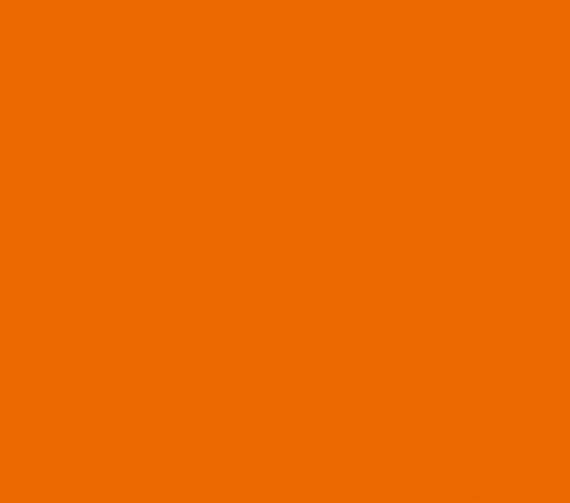 Oracal 651 Matte Permanent - Light Orange 036 image 0