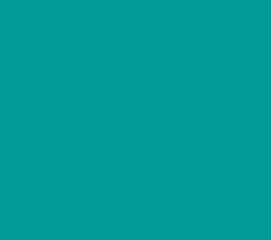 Oracal 651 Matte Permanent - Turquoise 054 image 0