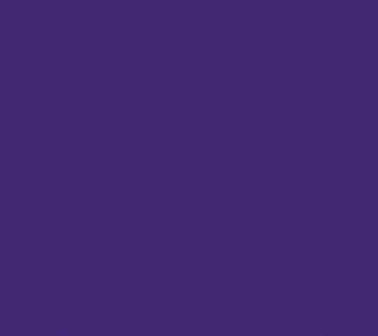 Oracal 651 Matte Permanent - Purple 404 image 0