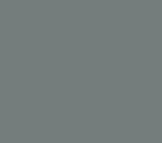 Oracal 651 Matte Permanent - Grey 071 image 0