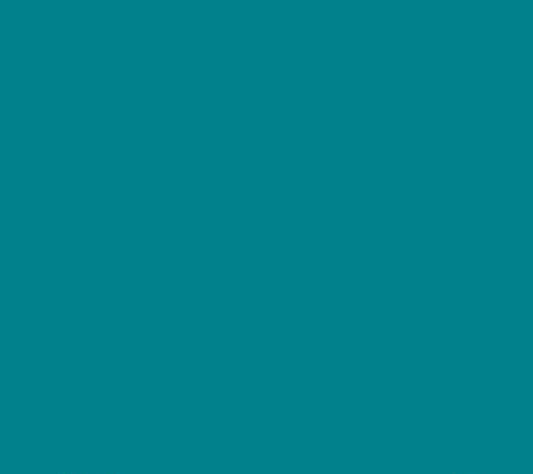 Oracal 651 Matte Permanent - Turquoise Blue 066 image 0