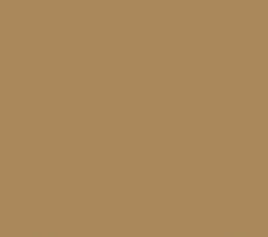 Oracal 651 Matte Permanent - Light Brown 081 image 0