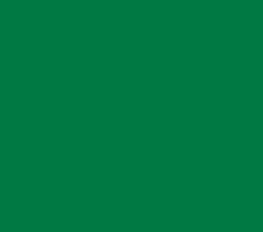 Oracal 651 Matte Permanent - Grass Green 068 image 0