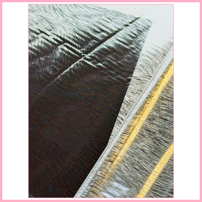 Brush Silver - Full Transfer Foil - 1 Metre
