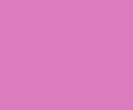 4000 Glossy - Section 1 image 1