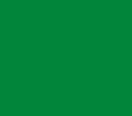 Oracal 651 Matte Permanent - Light Green 062 image 0