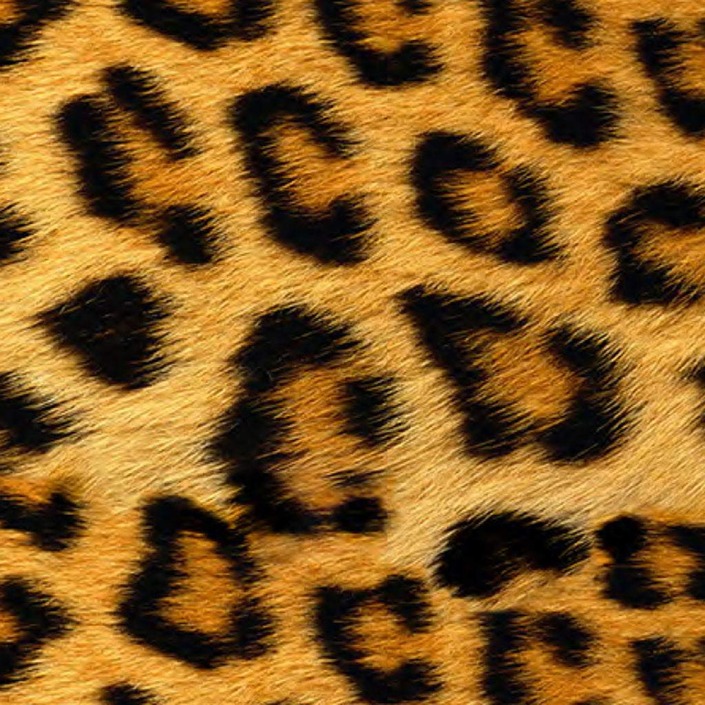 Siser Wild Easy Patterns image 3