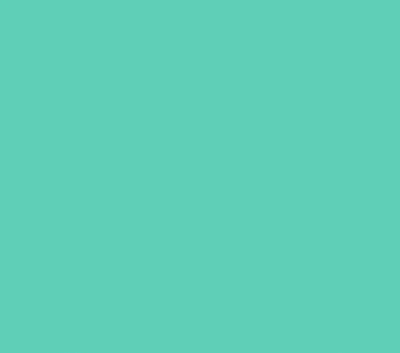 Oracal 651 Glossy Permanent - Mint 055 image 0