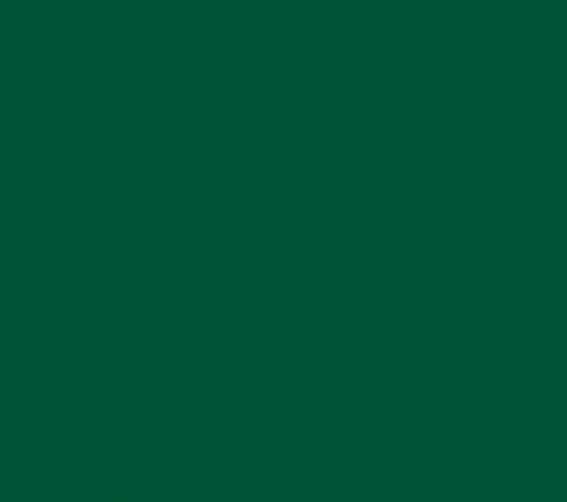 Oracal 651 Glossy Permanent - Forest Green 613 image 0