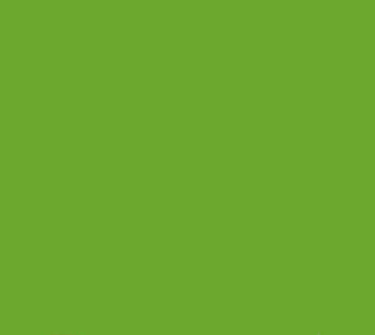 Oracal 651 Matte Permanent - Lime Tree Green 063 image 0