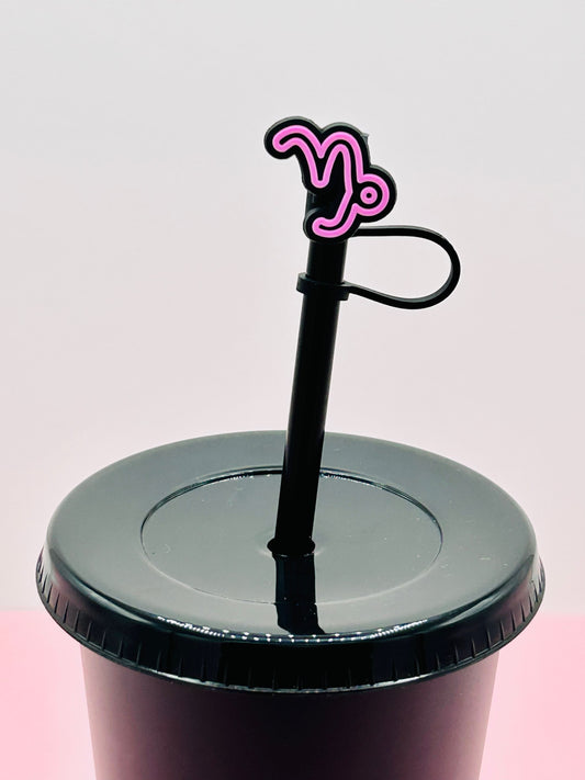 Straw Topper - Capricorn Star Sign image 0