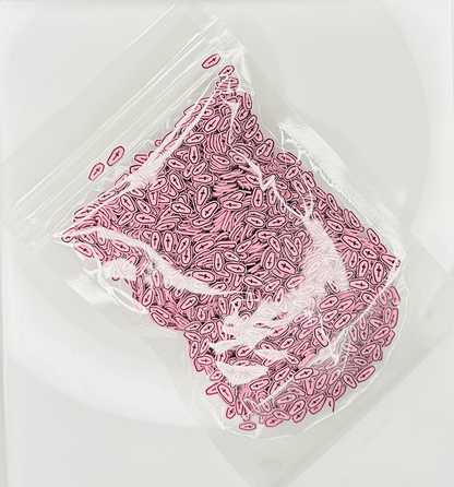 Pink Coffins - Polymer Clay Slices image 1
