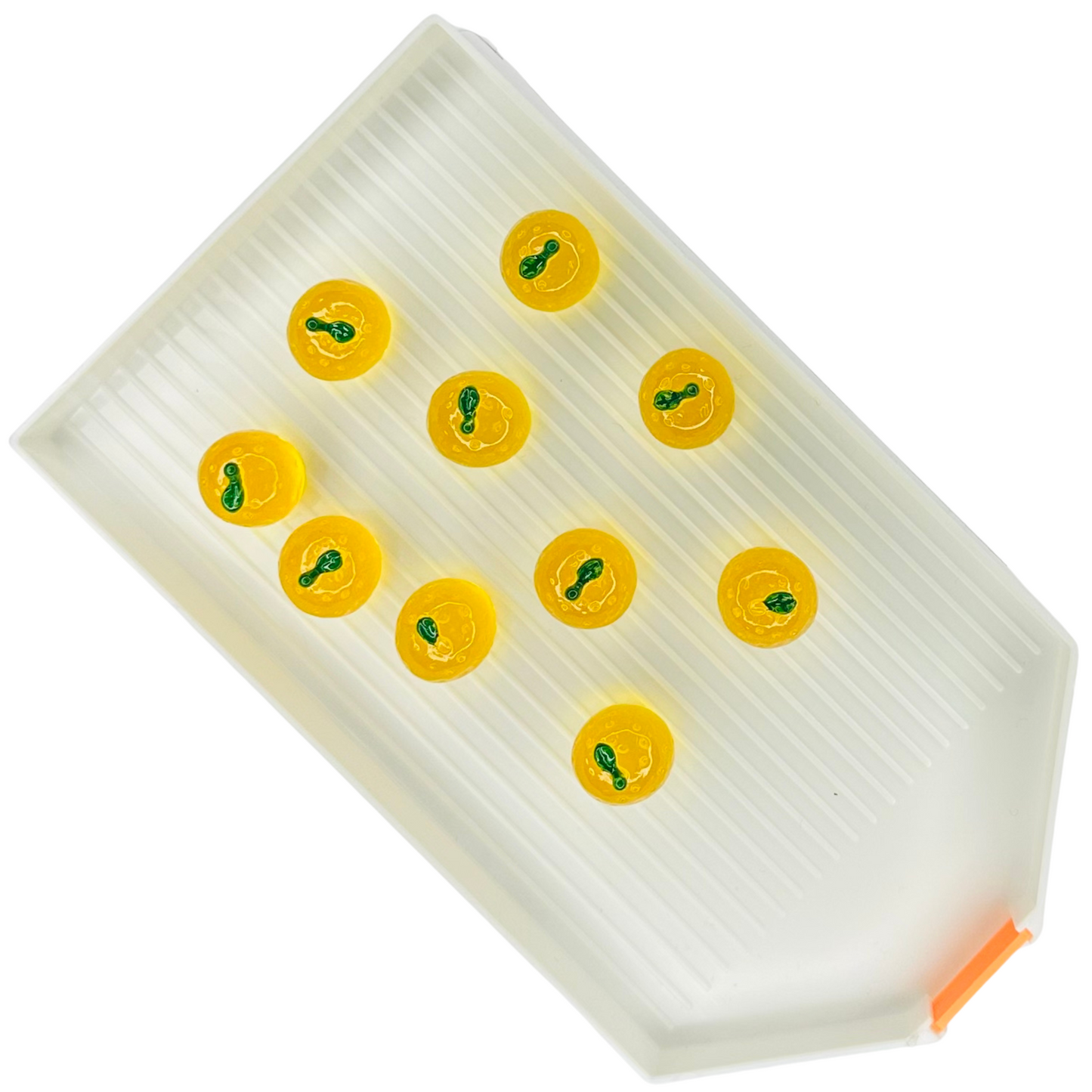 Oranges (Pack of 10) image 0