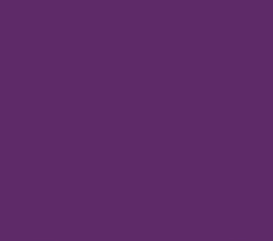 Oracal 651 Matte Permanent - Violet 040 image 0
